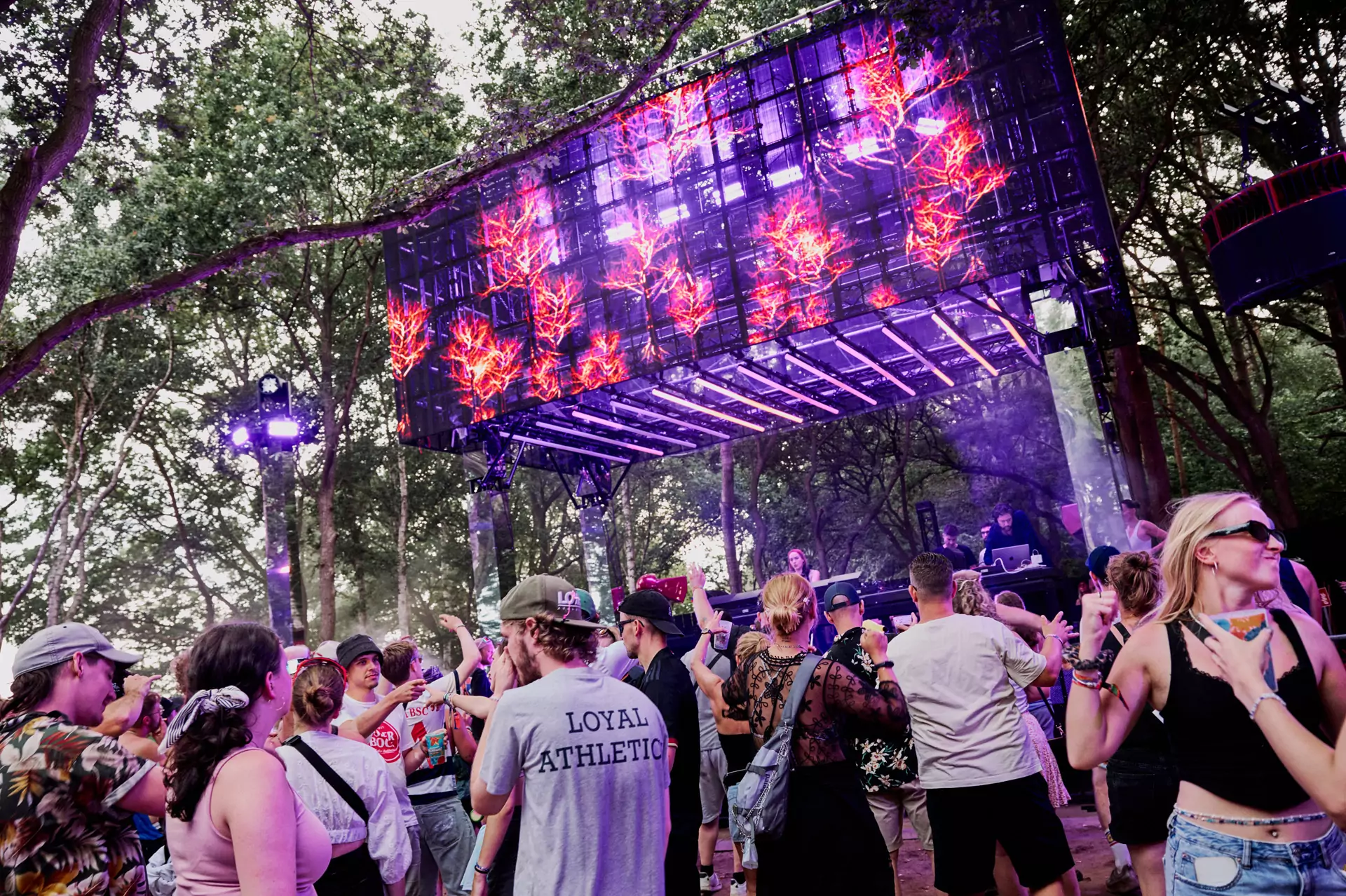 Sonne Mond Sterne Festival 2024